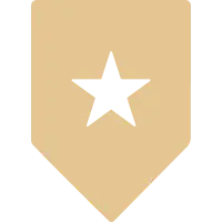 Industry Expertise Icon